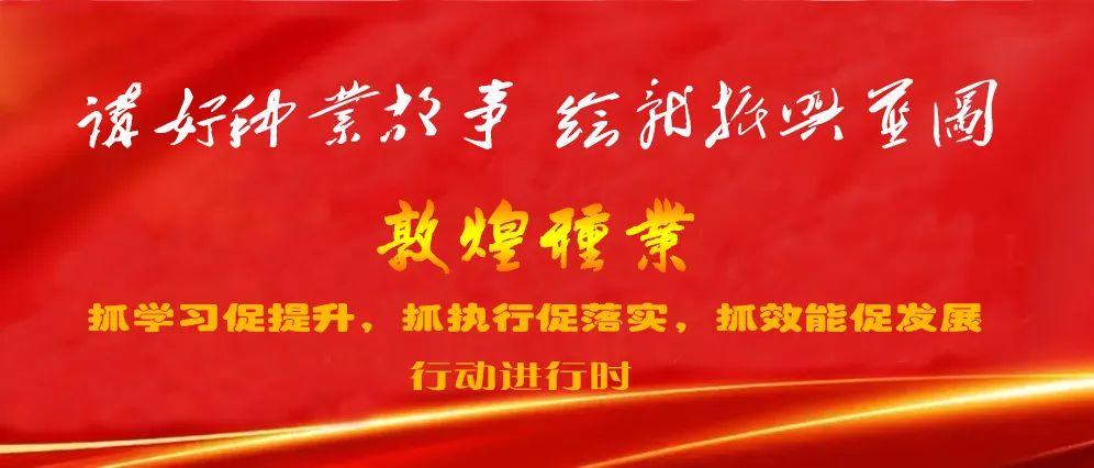 優(yōu)秀敦煌種業(yè)人系列|在路上 -- 敦煌種業(yè)百佳食品有限公司優(yōu)秀共產黨員郭亞囡